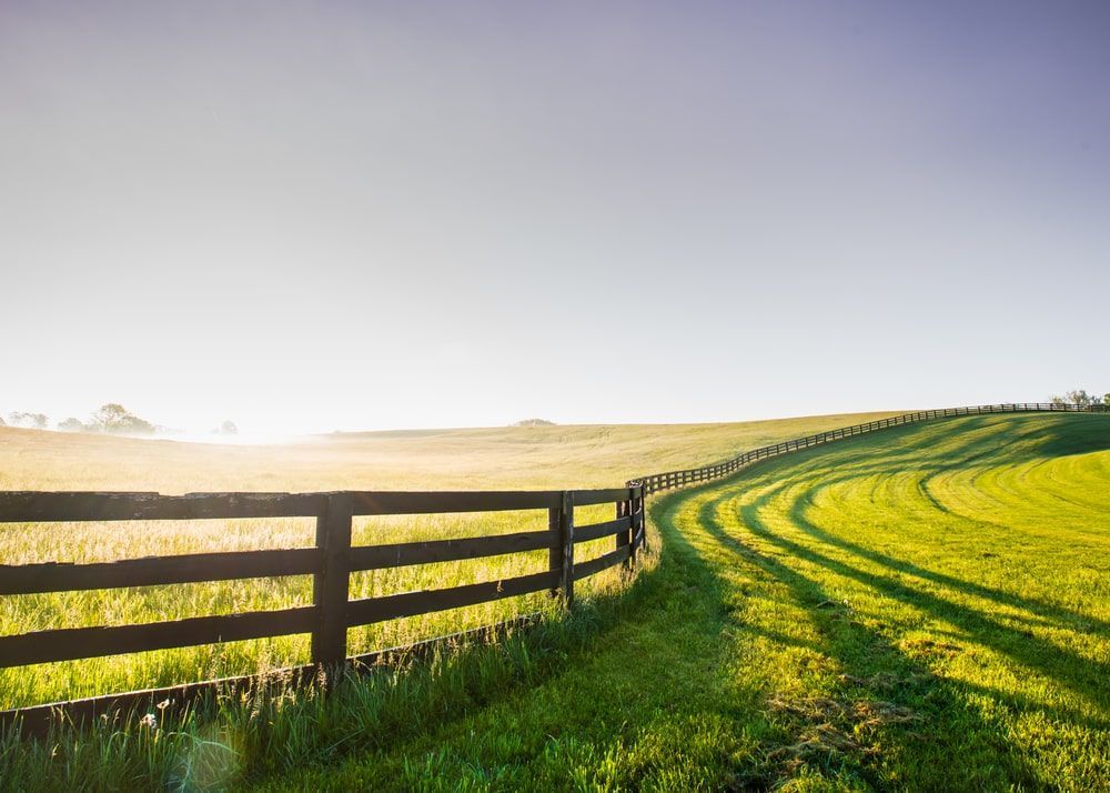 A Wooden Fence Surrounds A Grassy Field On A Sunny Day — John Stark Fencing In Cooroy, QLD