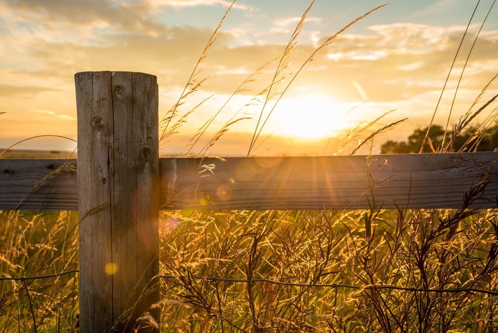 The Sun Is Setting Behind A Wooden Fence In A Field — John Stark Fencing In West Woombye, QLD