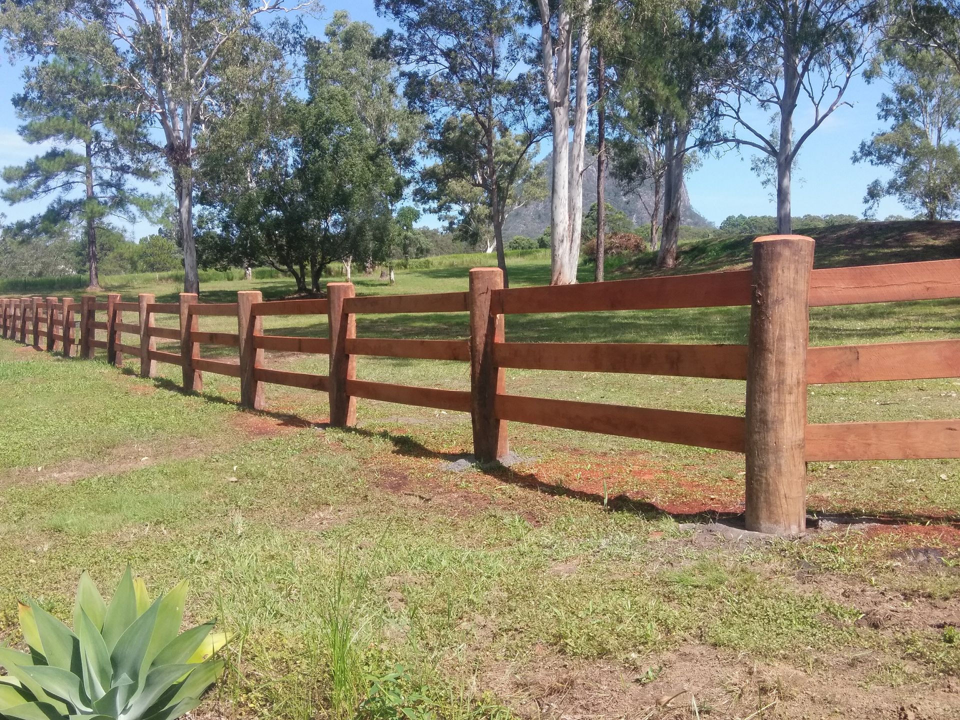 A Wooden Fence Surrounds A Grassy Field With Trees In The Background — John Stark Fencing In West Woombye, QLD