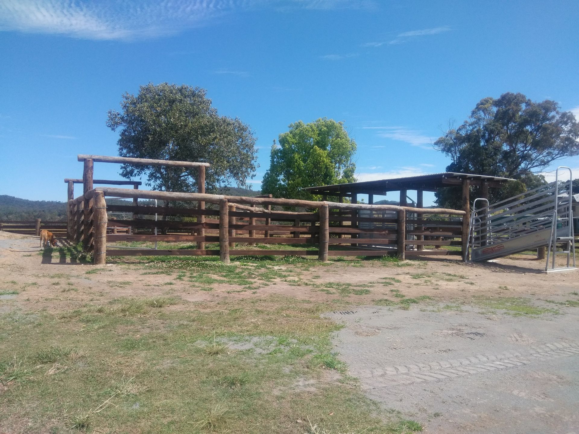 A Wooden Fence Surrounds A Grassy Field With A Tree In The Background — John Stark Fencing In West Woombye, QLD
