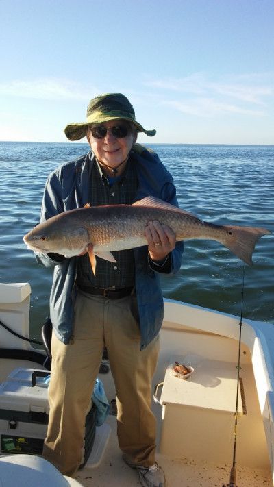 Person on a boat holding a large fish on a sunny day at sea