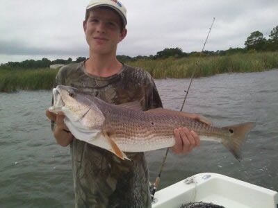 Person on a boat holding a large fish on a marshy river.