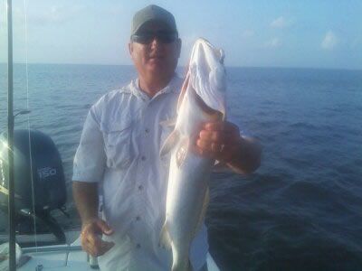 Person on a boat holding a large fish over the ocean under a blue sky.