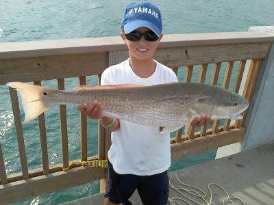 Person holding a large silver fish on a pier with ocean in the background