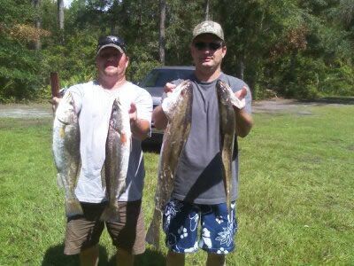 Two men holding large fish outdoors on grass, with trees and a road in the background.