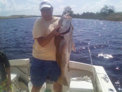 Person on a boat holding a large fish over a sparkling lake.