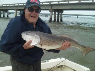 Person holding a large fish on a boat, with a bridge and water in the background.