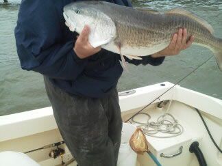 Person holding a large silver fish on a boat