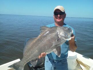 Person on a boat holding a large silver fish on calm blue water