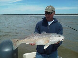 Person on a boat holding a large fish on calm water under a clear sky