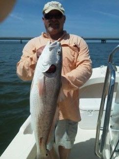 Man holding a large silver fish on a boat in bright daylight, with ocean and distant bridge behind him