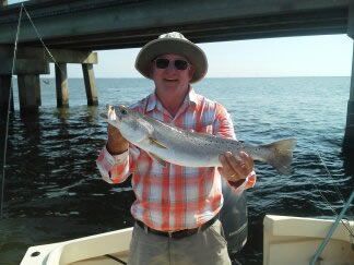 Person holding a large fish on a boat under a bridge by the water