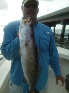 Person in blue shirt holding a large fish on a dock by the water