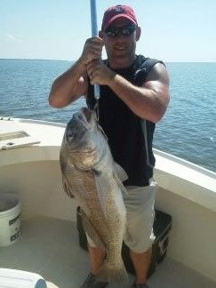 Man on a boat holding a large fish over open water on a sunny day