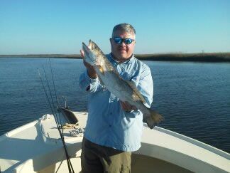 Person on a boat holding a large fish on calm water under a clear sky