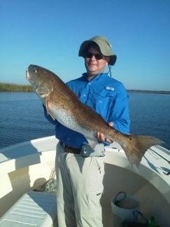 Person on a boat holding a large fish on a sunny day.