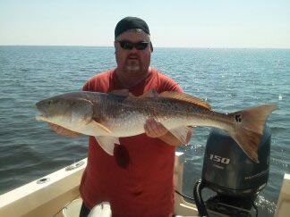 Person on a boat holding a large fish with the ocean in the background