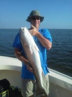 Person on a boat holding a large fish on open water, wearing a blue shirt and hat.