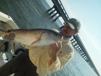 Person holding a large fish on a boat near a bridge over water
