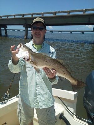 Person on a boat holding a large fish on a sunny day, with a bridge in the background