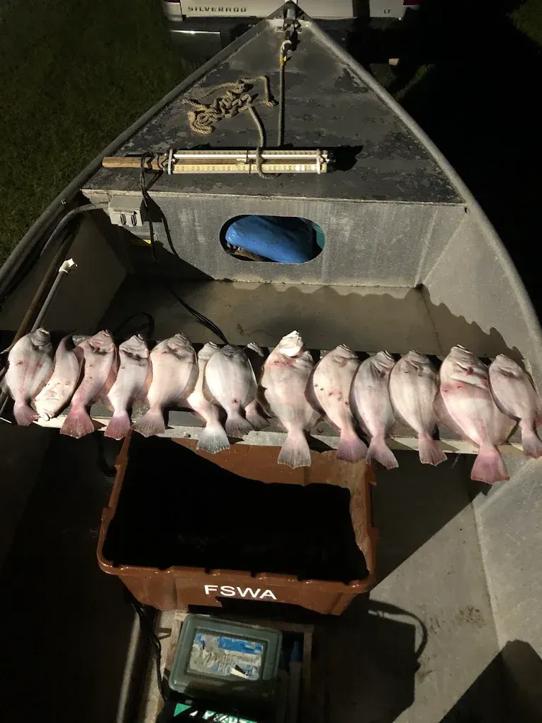 Several fish lined up in a small boat, with gear and a blue seat visible inside.