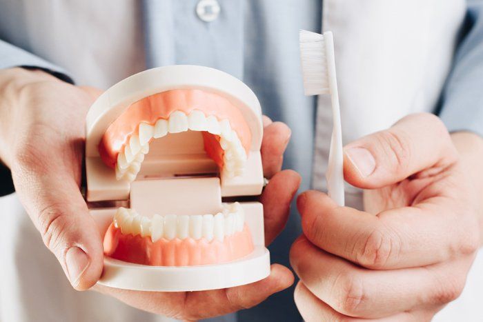Preventative Dentistry — Coburg, VIC — Dr Aggelos Katopothis Dental Preventative Dentistry — Coburg, VIC — Dr Aggelos Katopothis Dental