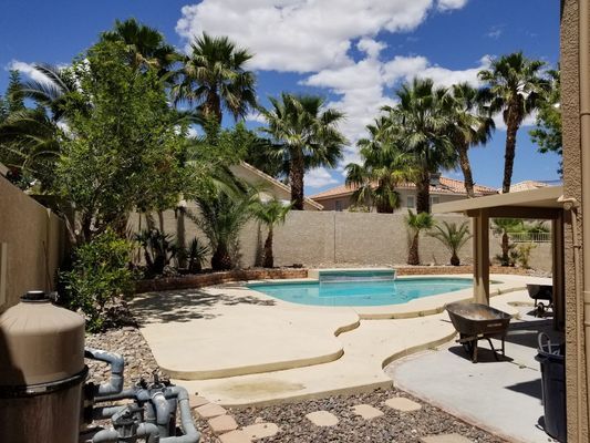 Backyard with swimming pool, palm trees, and sunny blue sky.