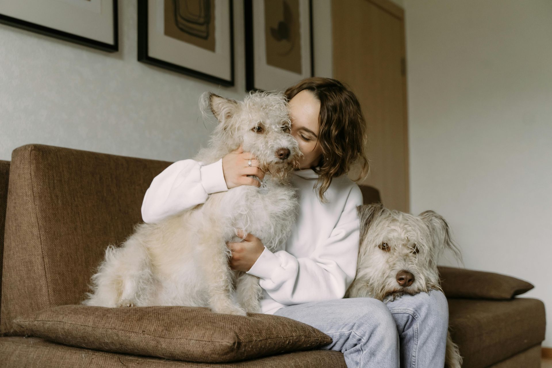 Person sitting on a couch holding a fluffy white dog, with another dog beside them.