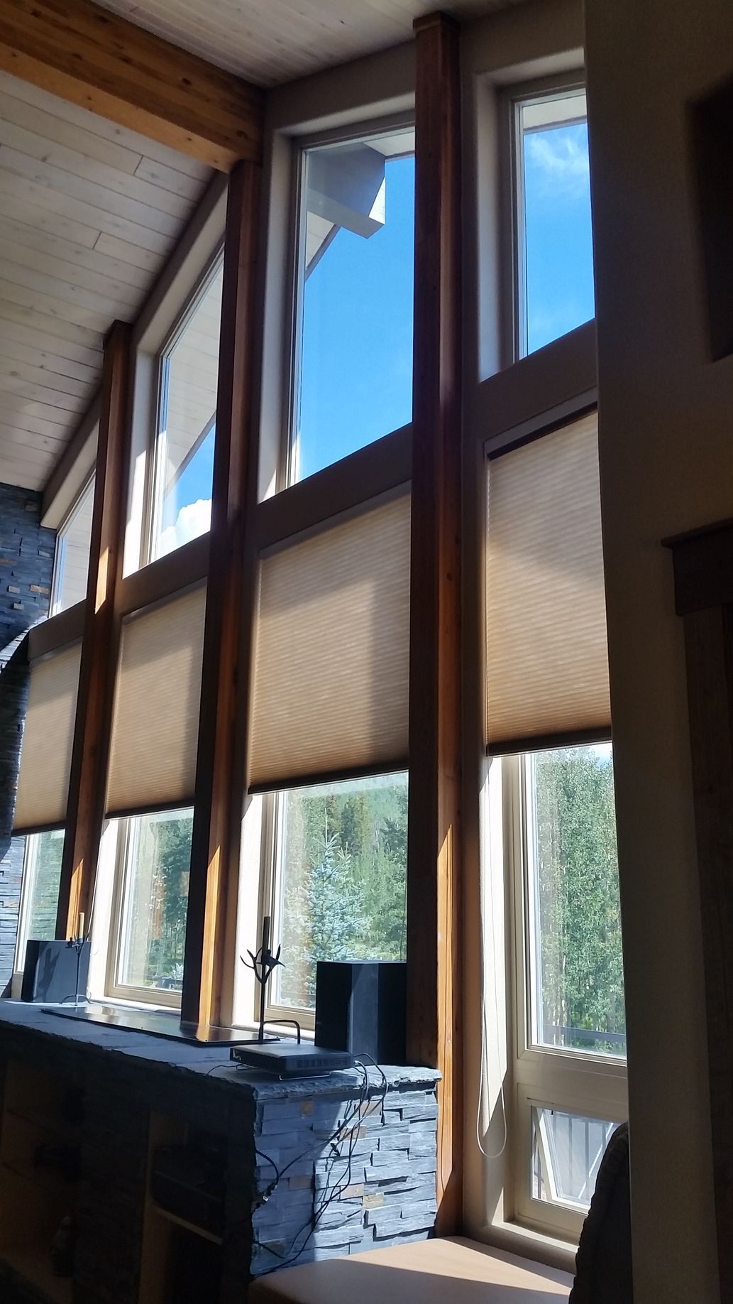 cellular & honeycomb shades services