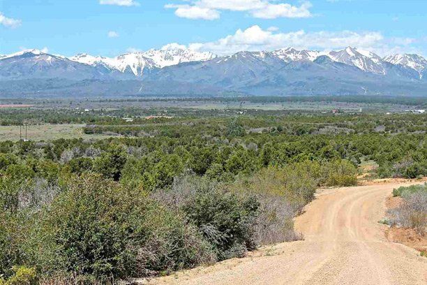 a dirt road going through a lush green field at Hesperus, Colorado