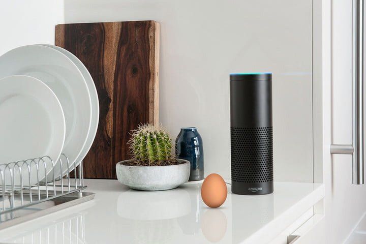 an amazon speaker sits on a counter next to a cactus and an egg