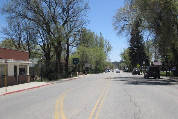 a Ignacio, Colorado street with cars driving down it and trees on both sides .