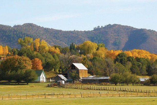 there is a barn in the middle of a field at Mancos, Colorado