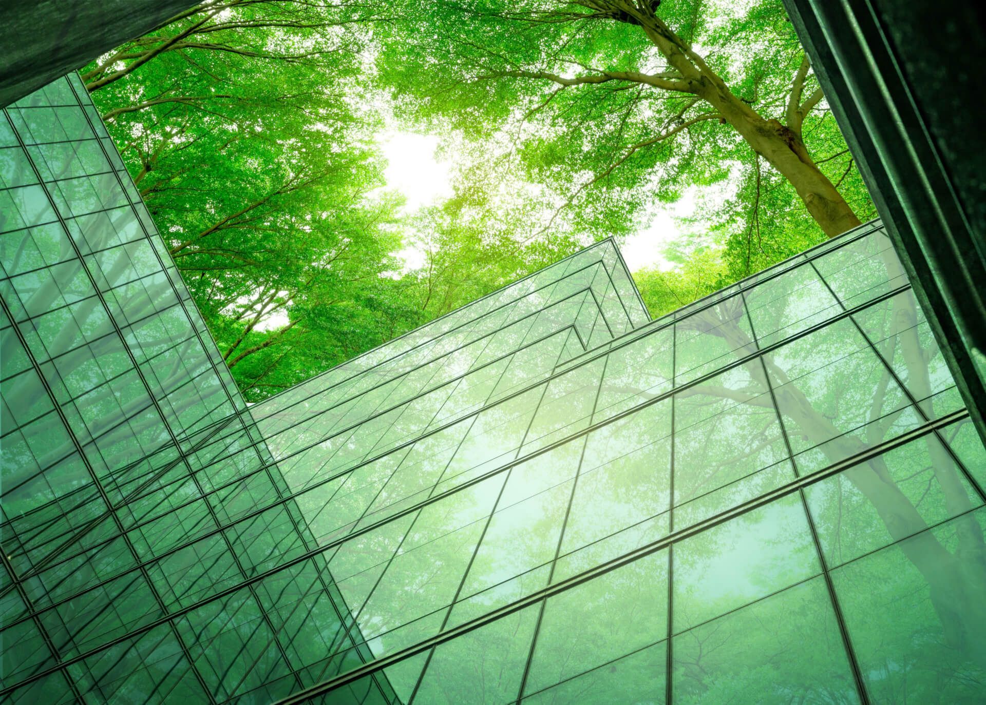 Glazen gebouw dat schuin omhoog wijst, met groene bomen erboven.