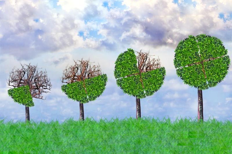 Waar vind ik ESG-scores? | DB Flagship Fund