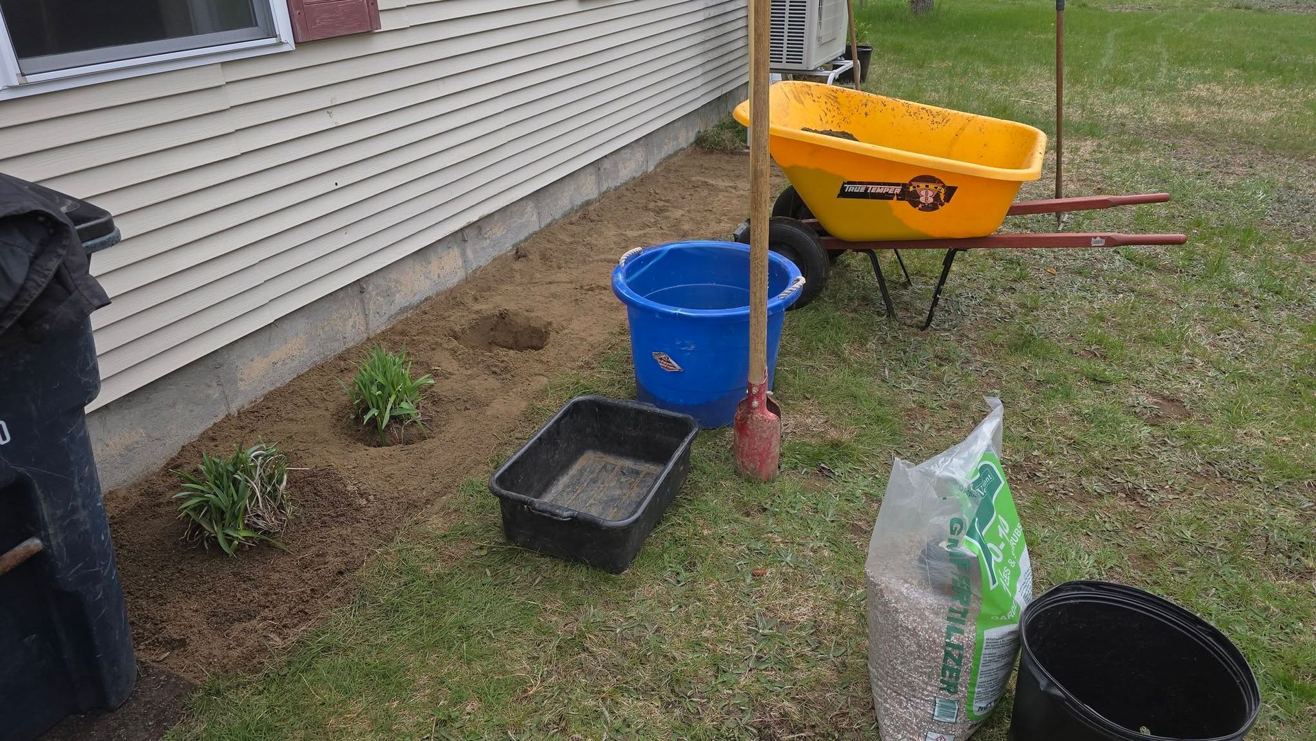 Gardening tools and buckets on grass beside a house, including a yellow wheelbarrow and blue bucket.