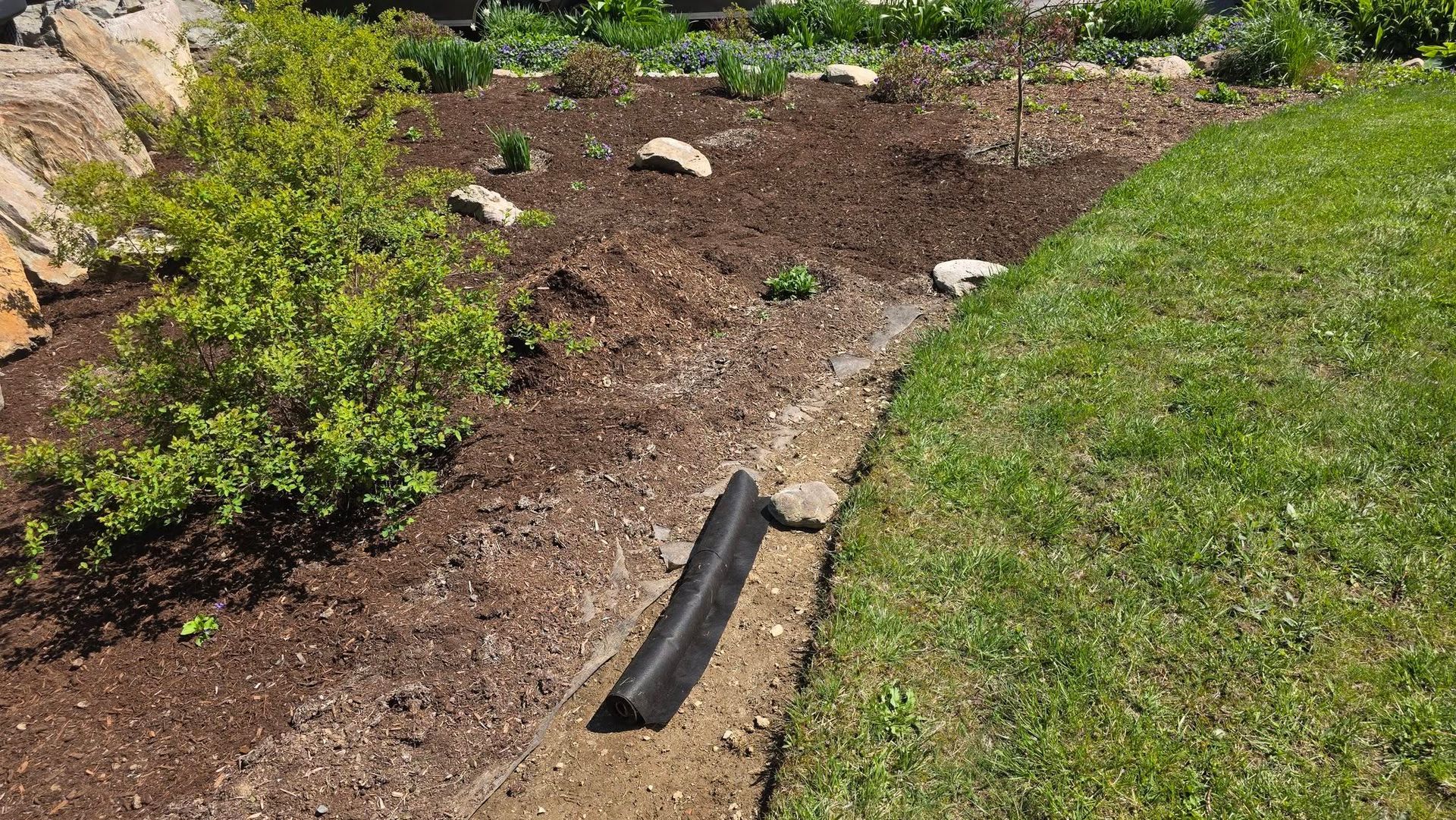 Mulched garden bed with shrubs, rocks, and a black drainage pipe beside green lawn