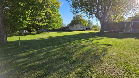 Sunny grassy backyard with trees casting long shadows and a house in the distance