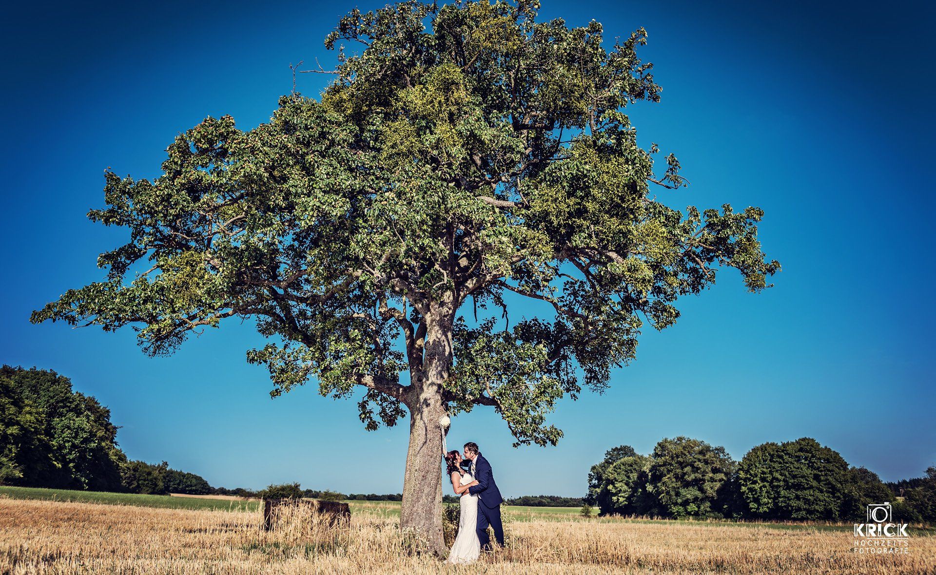Eine Person auf einem Feld neben einem großen Baum unter strahlend blauem Himmel