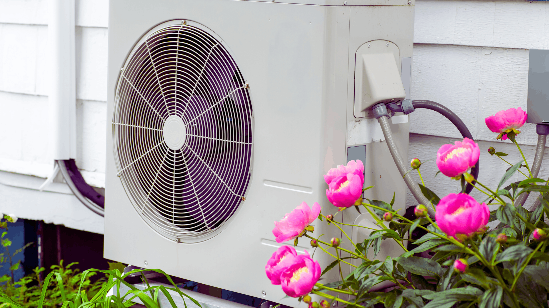 White outdoor air conditioner next to pink peonies and white siding — Chayser Electrical in Currimundi, QLD