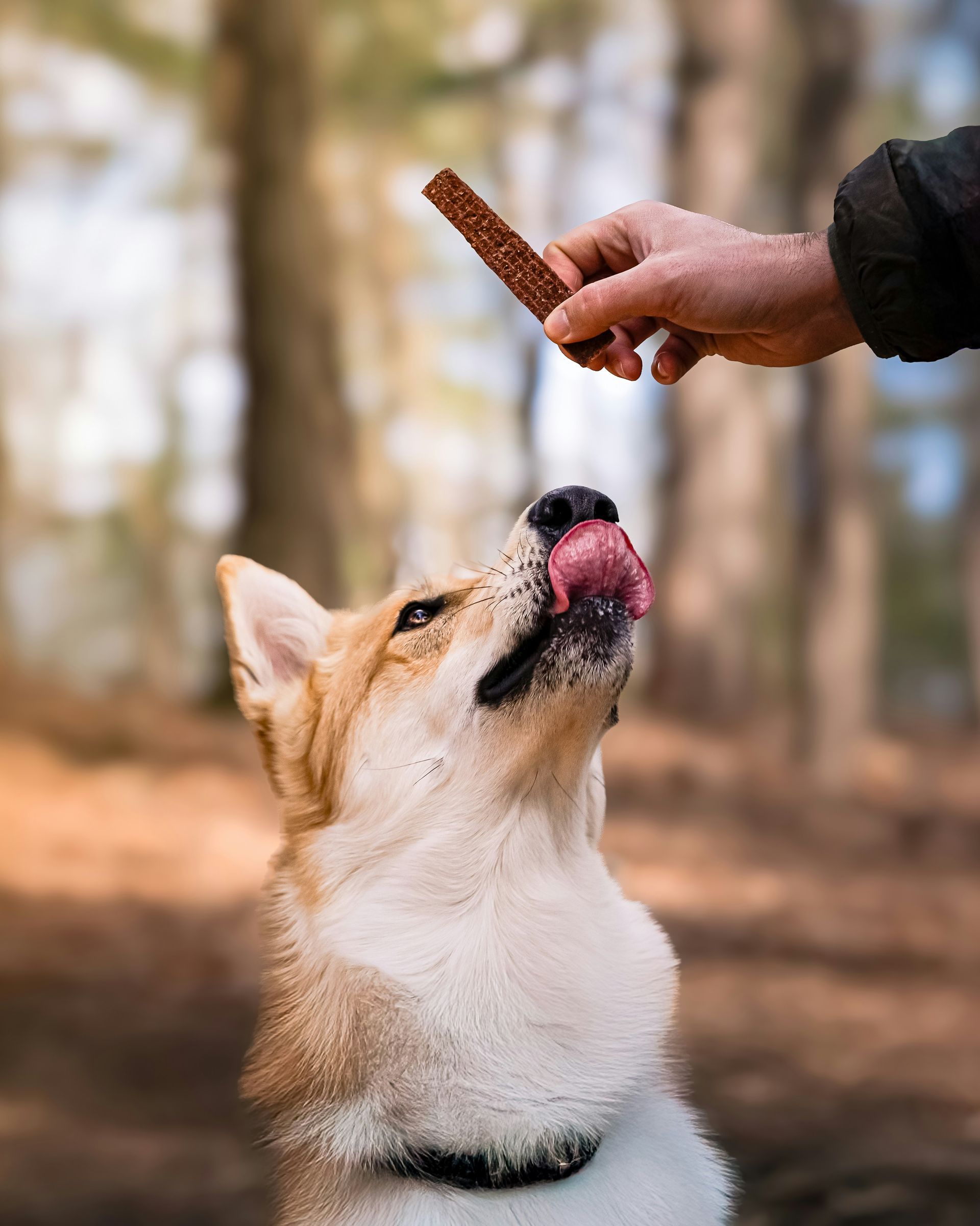 Gezonde snacks
