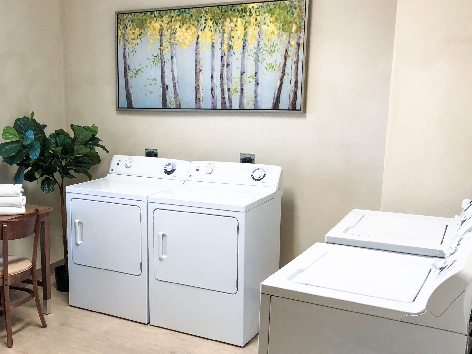 A laundry room with a washer and dryer and a painting on the wall.