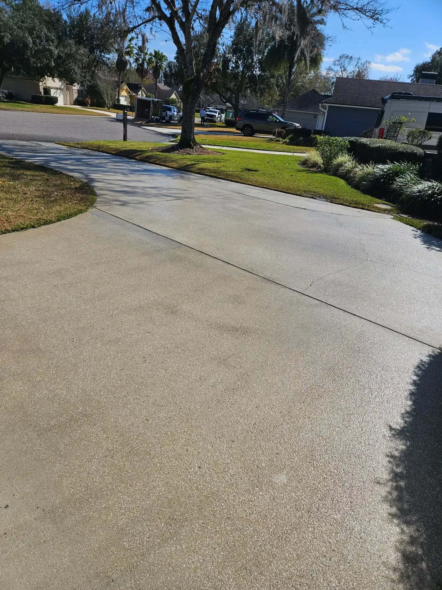 Curved wet concrete driveway beside a grassy lawn and trees on a sunny day