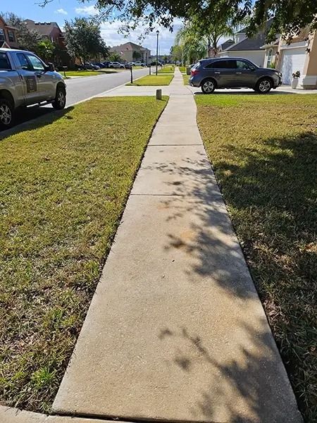 Sidewalk through a suburban neighborhood with parked cars and grassy lawns on a sunny day