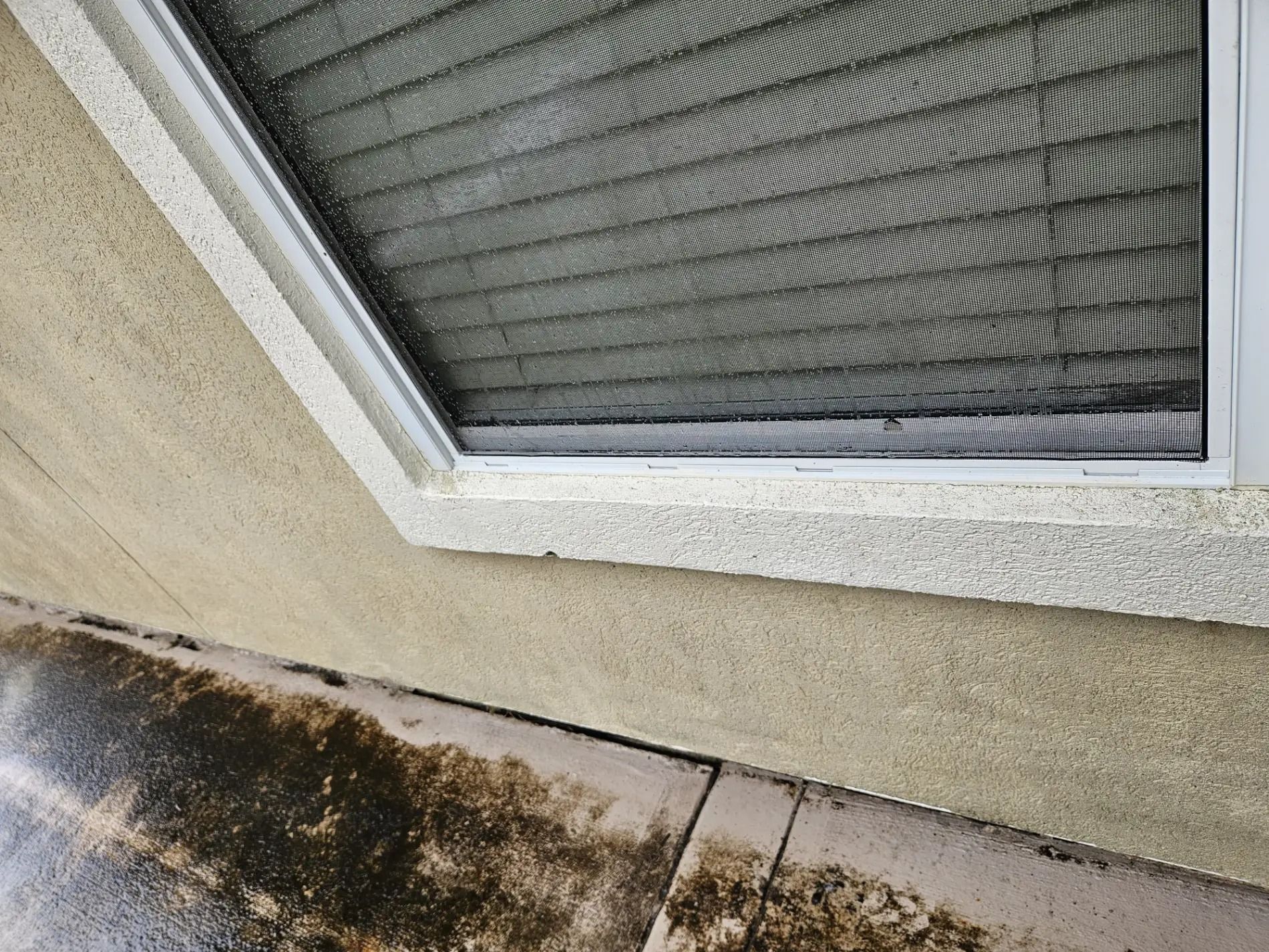 Close-up of a beige stucco wall, screened window, and dark mold stains on the concrete below.