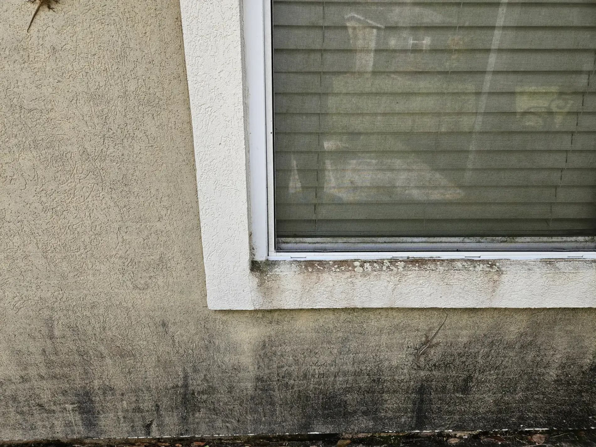 Dirty exterior wall and window sill with dark water stains beneath a window.