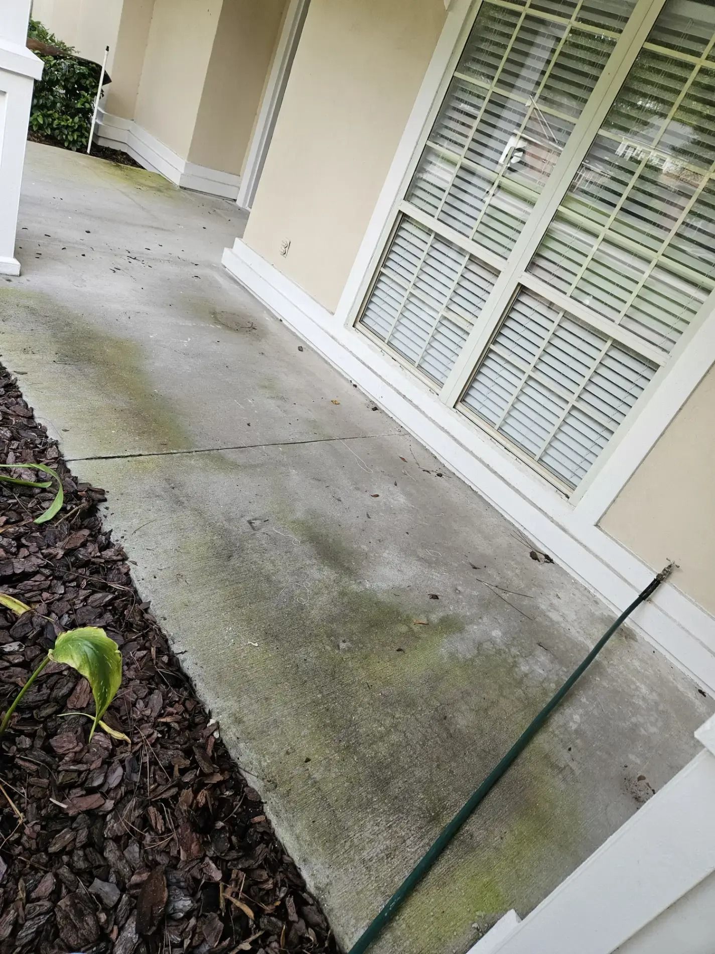 Concrete patio beside a beige house with white blinds, a green hose, and leaf litter on the ground
