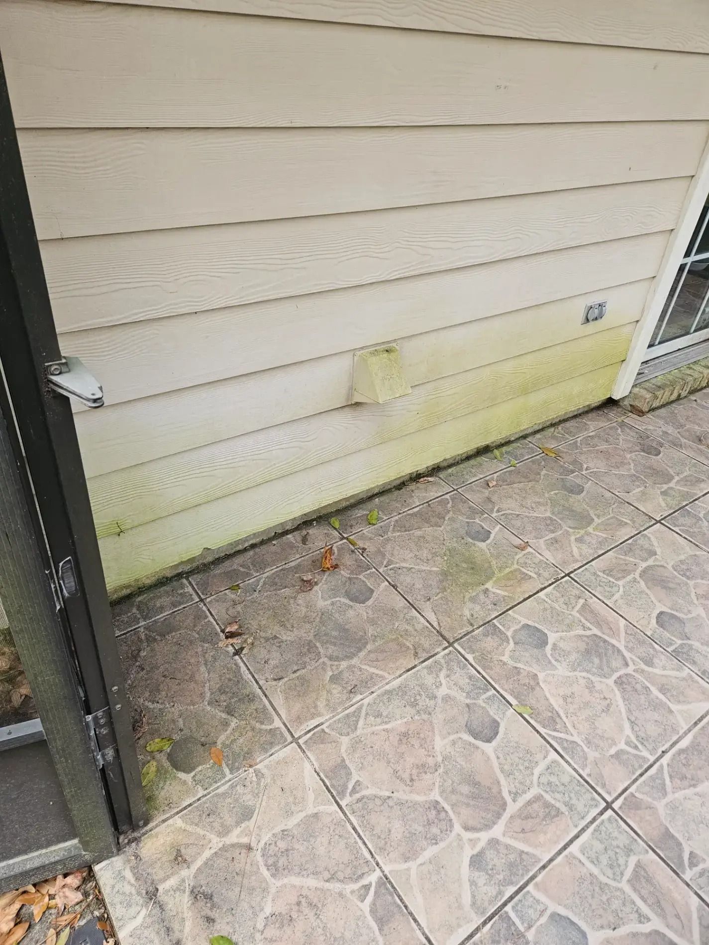 Exterior wall with beige siding, green mildew near the bottom, and stone-tile paving beside a door.