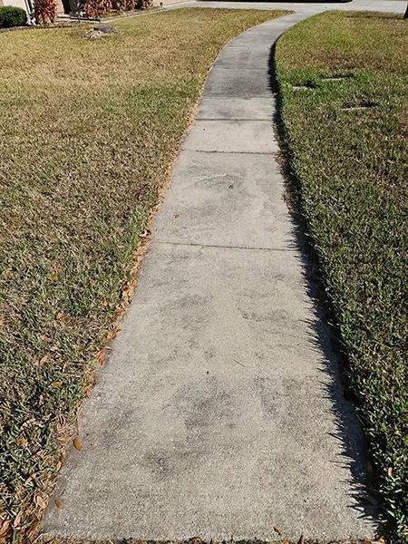 Curving concrete sidewalk through grass on a sunny day