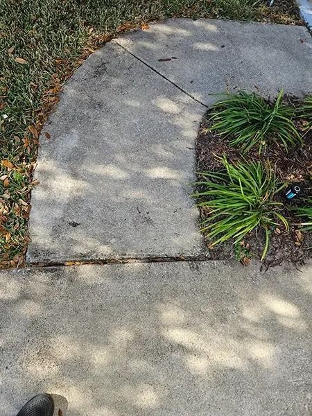 Curved concrete sidewalk beside grass and small plants, with dappled sunlight and a visible crack.
